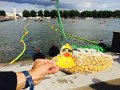 Maschseefest23014   630